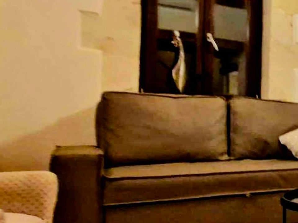 Holiday home Traditional 3 Story Townhouse ,batta Hanem